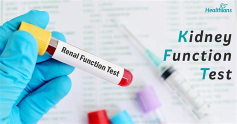 dropped kidney test|why is my kidney test important.